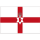 北爱尔兰U16 logo
